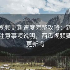 西瓜视频更新速度完整攻略：新手必看的注意事项说明，西瓜视频要每天更新吗