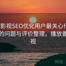 番茄影视SEO优化用户最关心什么？存在的问题与评价整理，播放番茄影视
