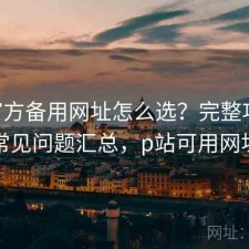 P站官方备用网址怎么选？完整攻略与常见问题汇总，p站可用网址