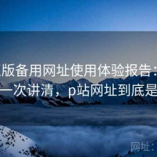 P站正版备用网址使用体验报告：如何使用一次讲清，p站网址到底是多少