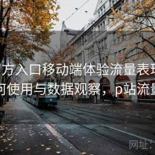 P站官方入口移动端体验流量表现如何？如何使用与数据观察，p站流量限制