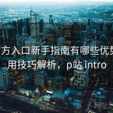P站官方入口新手指南有哪些优势与使用技巧解析，p站 intro