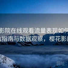 樱花影院在线观看流量表现如何？避坑指南与数据观察，樱花影厅