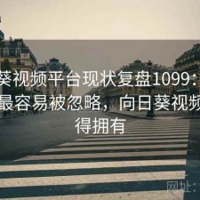 向日葵视频平台现状复盘1099：哪些问题最容易被忽略，向日葵视频你值得拥有