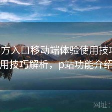 P站官方入口移动端体验使用技巧与使用技巧解析，p站功能介绍