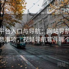 视频平台入口与导航：网站导航方案及注意事项，视频导航软件哪个最好