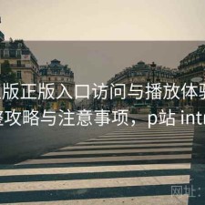 P站正版正版入口访问与播放体验：完整攻略与注意事项，p站 intro