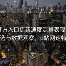 P站官方入口更新速度流量表现如何？怎么选与数据观察，p站网速特别慢