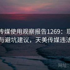 天美传媒使用观察报告1269：现状分析与避坑建议，天美传媒违法吗