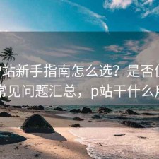 正规P站新手指南怎么选？是否值得与常见问题汇总，p站干什么用
