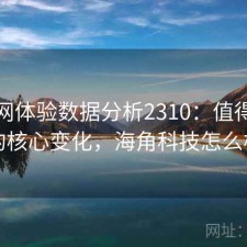 海角网体验数据分析2310：值得关注的核心变化，海角科技怎么样