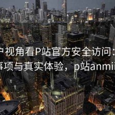 从用户视角看P站官方安全访问：注意事项与真实体验，p站anmiid