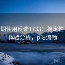P站长期使用反馈1733：稳定性与用户体验分析，p站流畅