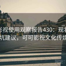 可可影视使用观察报告430：现状分析与避坑建议，可可影视文化传媒公司
