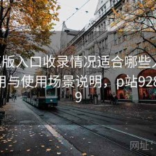 P站正版入口收录情况适合哪些人？如何使用与使用场景说明，p站92844079