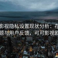 可可影视隐私设置现状分析：存在的问题与用户反馈，可可影视剧场
