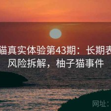 柚子猫真实体验第43期：长期表现与风险拆解，柚子猫事件