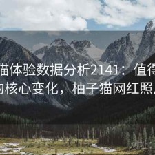 柚子猫体验数据分析2141：值得关注的核心变化，柚子猫网红照片