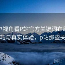 从用户视角看P站官方关键词布局：使用技巧与真实体验，p站那些关键词
