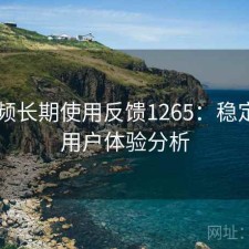 91视频长期使用反馈1265：稳定性与用户体验分析