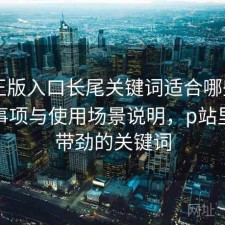 P站正版入口长尾关键词适合哪些人？注意事项与使用场景说明，p站里面最带劲的关键词