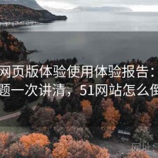 51网网页版体验使用体验报告：存在的问题一次讲清，51网站怎么倒闭了