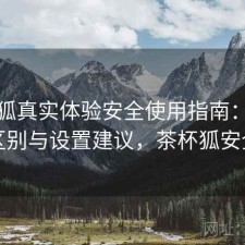 茶杯狐真实体验安全使用指南：有什么区别与设置建议，茶杯狐安全吗
