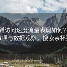茶杯狐访问速度流量表现如何？注意事项与数据观察，搜索茶杯狐