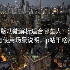 P站正版功能解析适合哪些人？注意事项与使用场景说明，p站干啥用的