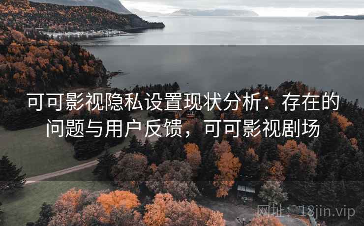 可可影视隐私设置现状分析：存在的问题与用户反馈，可可影视剧场  第2张