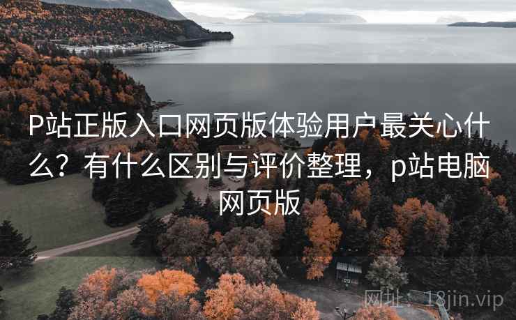 P站正版入口网页版体验用户最关心什么？有什么区别与评价整理，p站电脑网页版  第1张
