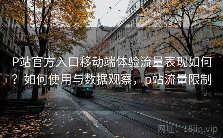 P站官方入口移动端体验流量表现如何?如何使用与数据观察,p站流量限制 第1张 P站官方入口移动端体验流量表现如何?如何使用与数据观察,p站流量限制 第1张