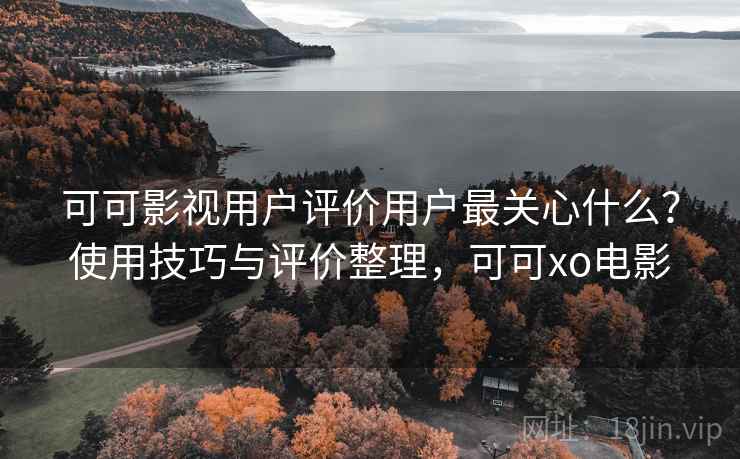 可可影视用户评价用户最关心什么？使用技巧与评价整理，可可xo电影  第2张