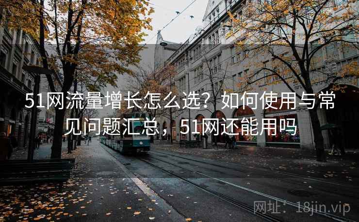 51网流量增长怎么选？如何使用与常见问题汇总，51网还能用吗  第1张