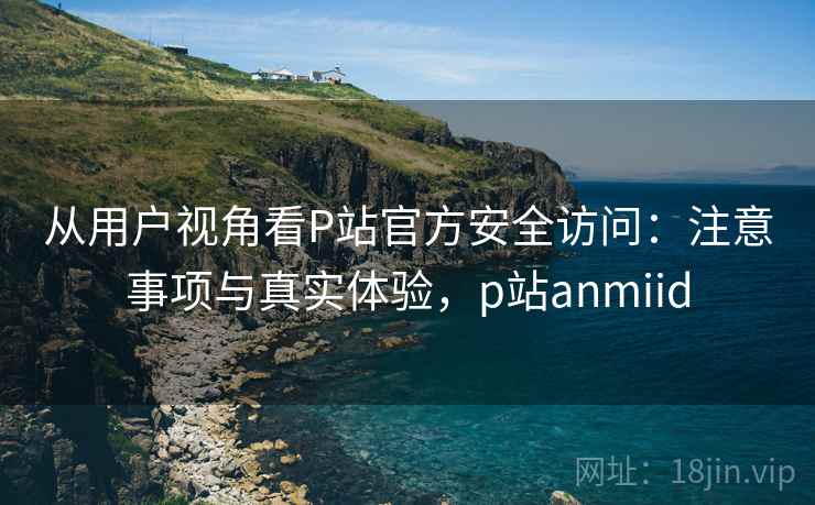 从用户视角看P站官方安全访问：注意事项与真实体验，p站anmiid  第2张