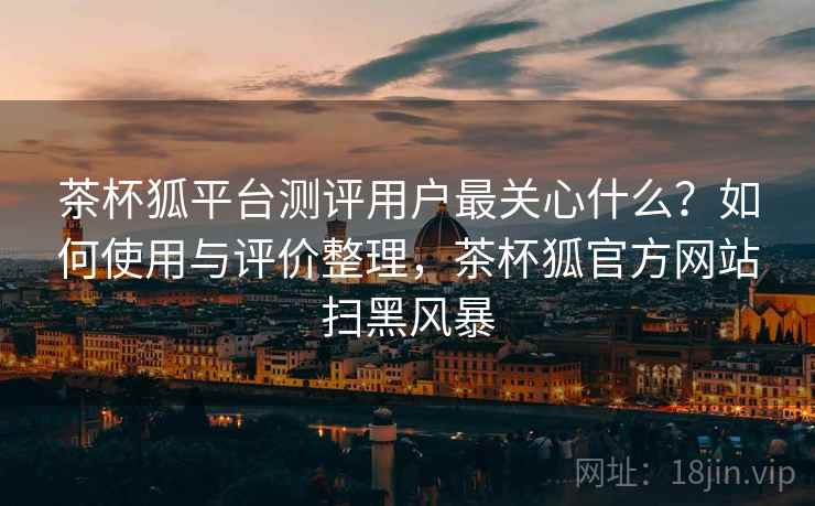 茶杯狐平台测评用户最关心什么？如何使用与评价整理，茶杯狐官方网站扫黑风暴  第2张