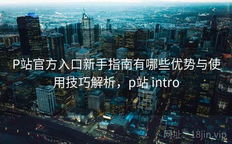 P站官方入口新手指南有哪些优势与使用技巧解析，p站 intro  第1张