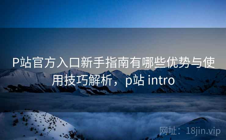 P站官方入口新手指南有哪些优势与使用技巧解析，p站 intro  第2张