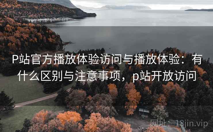 P站官方播放体验访问与播放体验：有什么区别与注意事项，p站开放访问  第2张