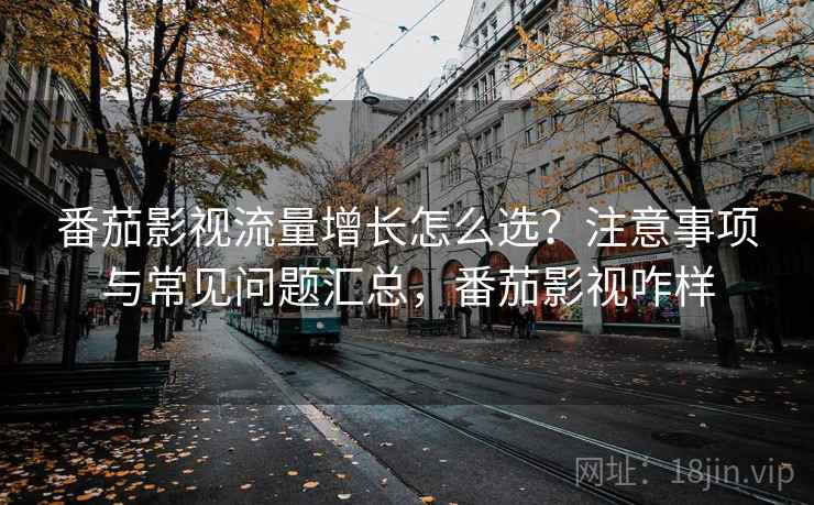 番茄影视流量增长怎么选？注意事项与常见问题汇总，番茄影视咋样  第1张