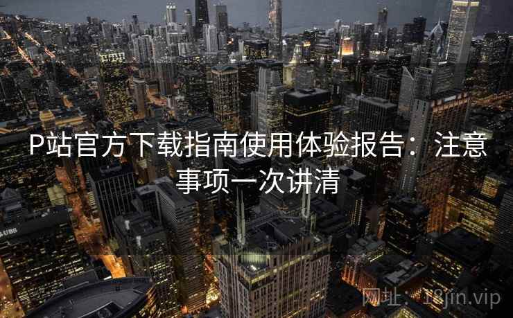 P站官方下载指南使用体验报告：注意事项一次讲清  第1张