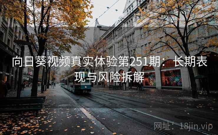 向日葵视频真实体验第251期：长期表现与风险拆解  第2张
