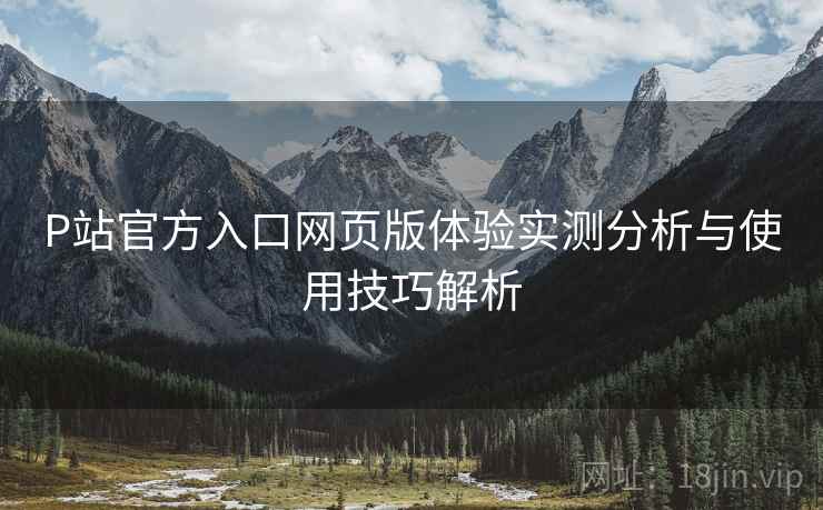 P站官方入口网页版体验实测分析与使用技巧解析  第1张