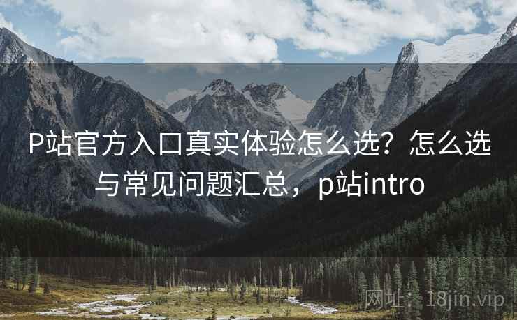 P站官方入口真实体验怎么选？怎么选与常见问题汇总，p站intro  第2张