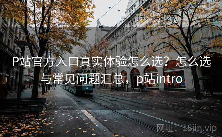 P站官方入口真实体验怎么选？怎么选与常见问题汇总，p站intro  第1张