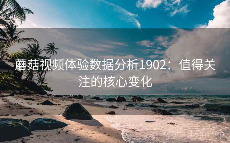 蘑菇视频体验数据分析1902：值得关注的核心变化  第2张