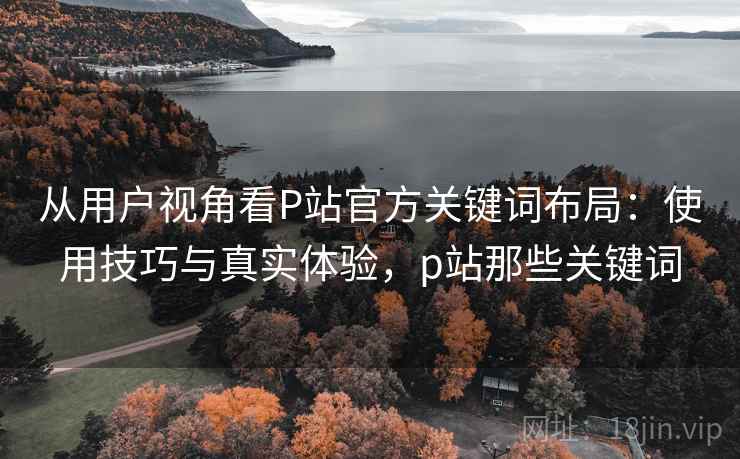 从用户视角看P站官方关键词布局：使用技巧与真实体验，p站那些关键词  第2张