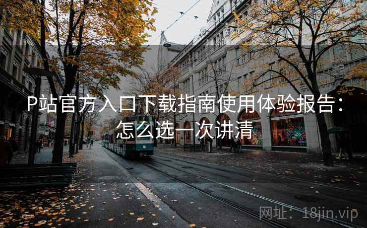 P站官方入口下载指南使用体验报告：怎么选一次讲清  第2张