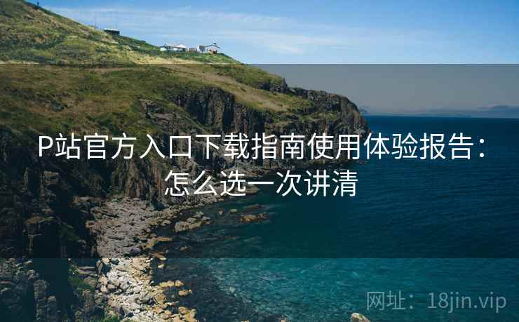 P站官方入口下载指南使用体验报告：怎么选一次讲清  第1张