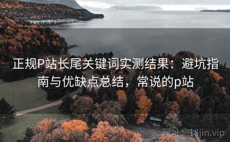 正规P站长尾关键词实测结果：避坑指南与优缺点总结，常说的p站  第2张